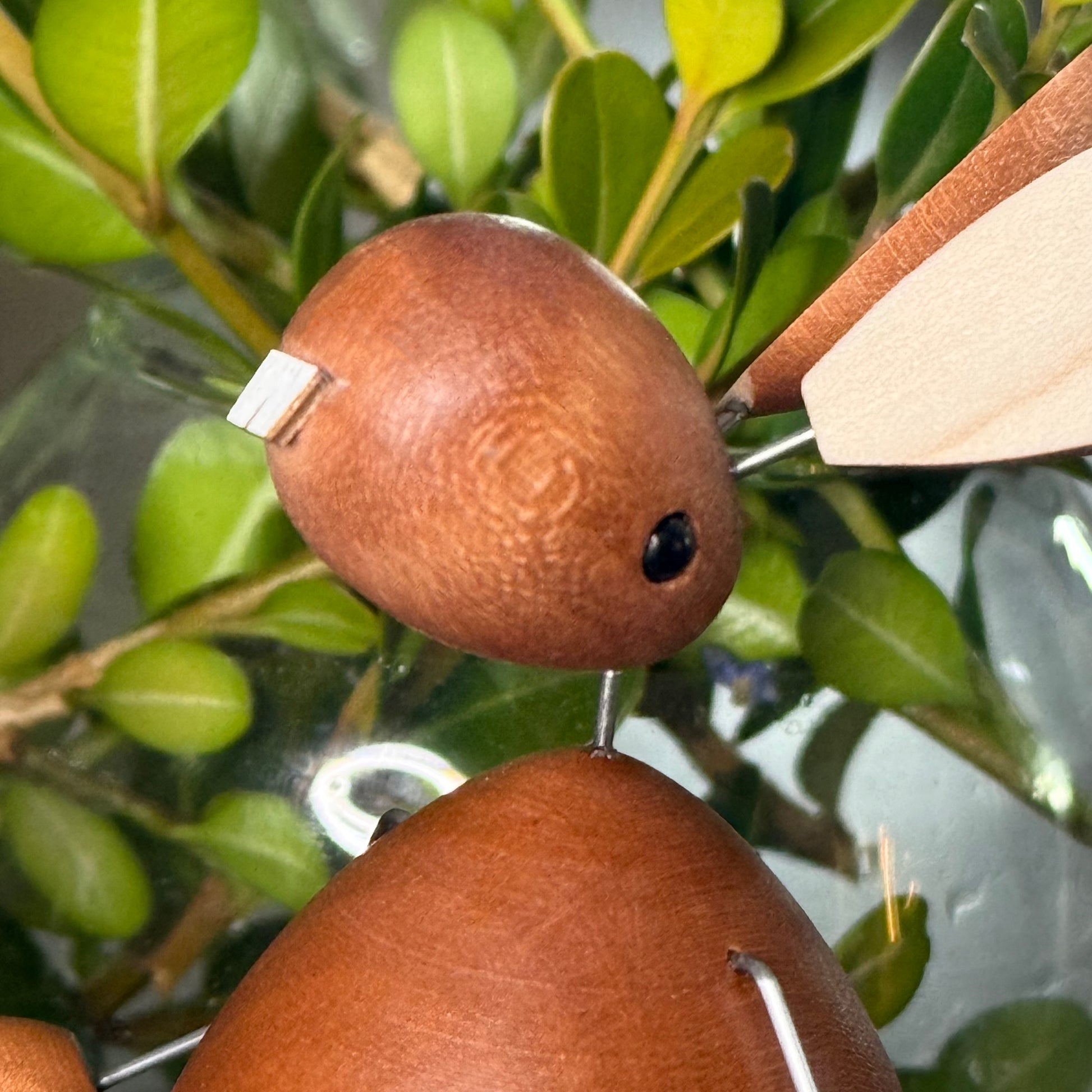 Hasenfrau und Hasenmann im großen Familienglück